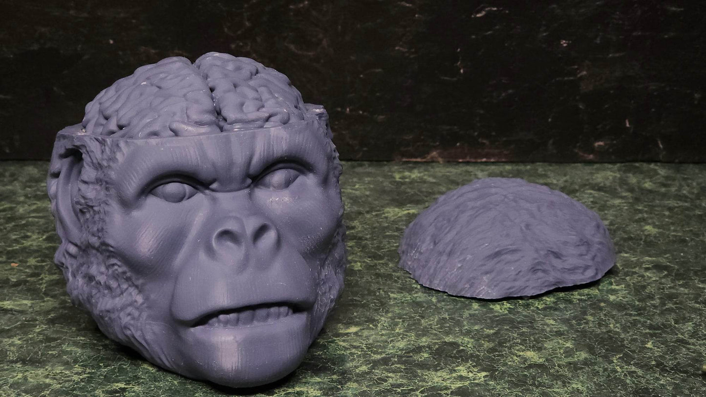 Monkey Brains - Large